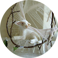 �wSmall forest in the plastic city�x